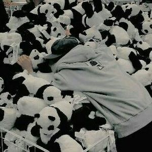 Meet your Posher, Dræm